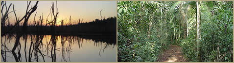 Parque y Reserva Urugua-i Andresito Misiones