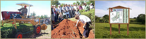 La Ciudad de Campo Viera Misiones