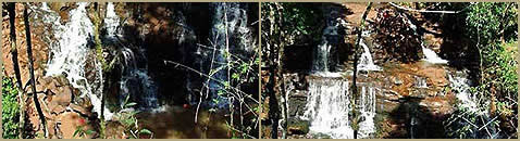 Salto Elena