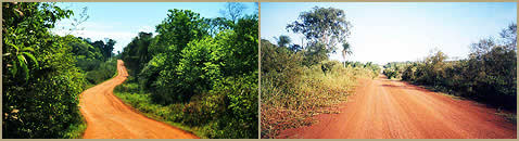 Corpus Misiones