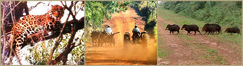 Ecoturismo en Misiones