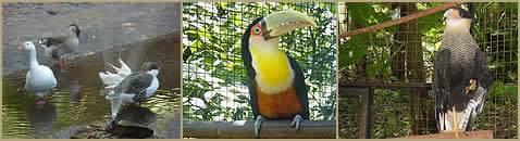 Jardin de los Pajaros en Obera Misiones