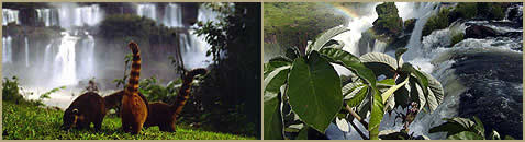 Parque Nacional Iguazu